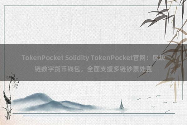 TokenPocket Solidity TokenPocket官网：区块链数字货币钱包，全面支援多链钞票处置